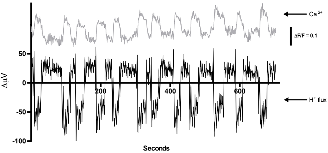 Figure 5.