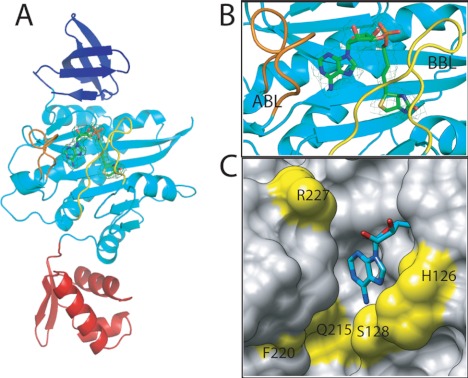 FIGURE 2.