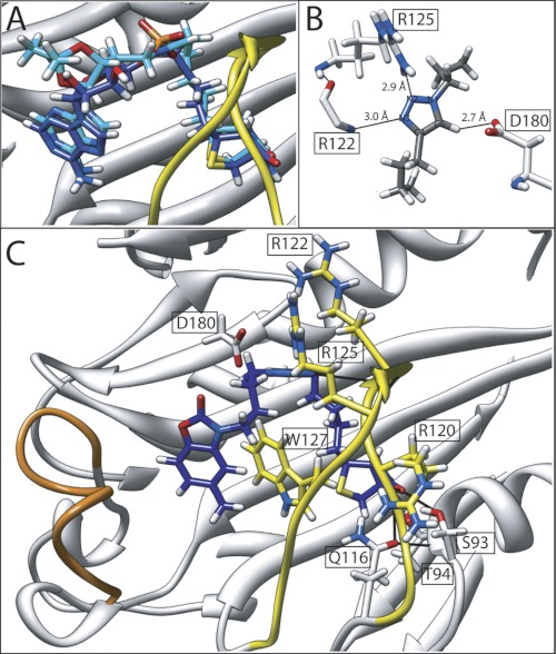 FIGURE 5.