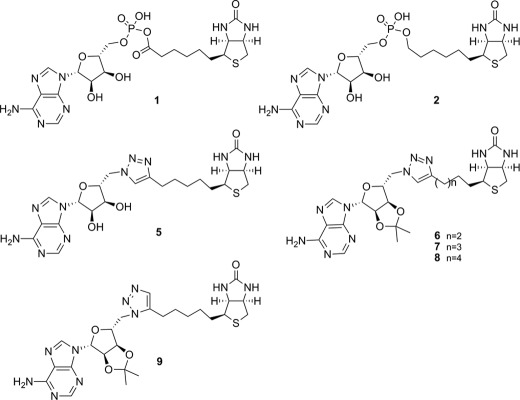 FIGURE 1.