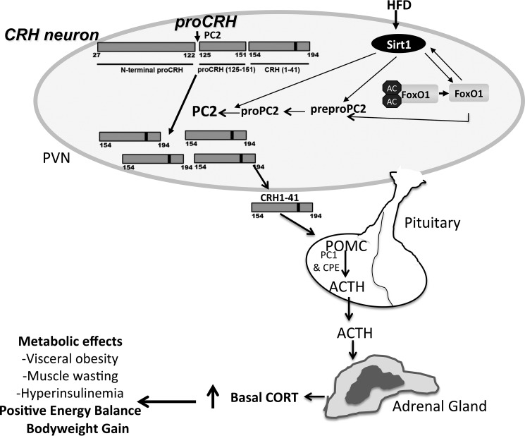 FIGURE 10.