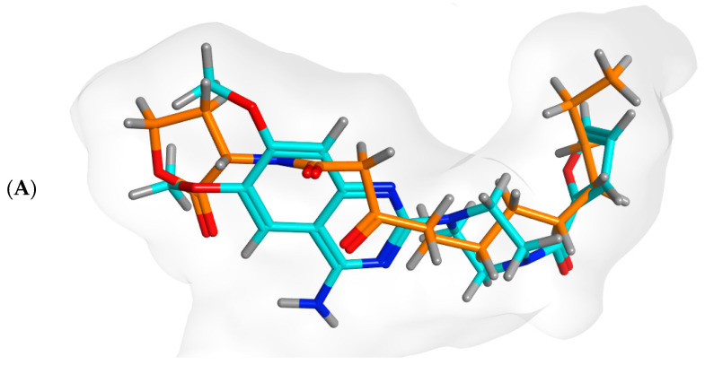 Figure 9