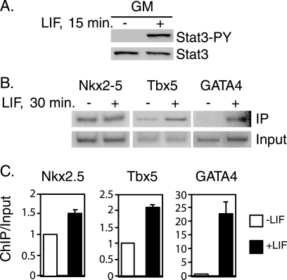 FIGURE 1.