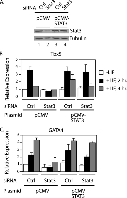 FIGURE 4.