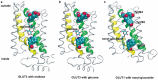 Figure 3.