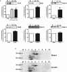 Figure 12.