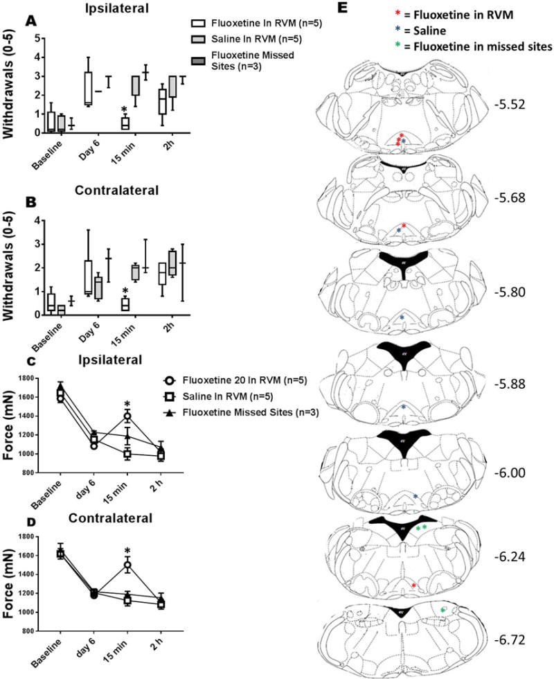 Fig. 7