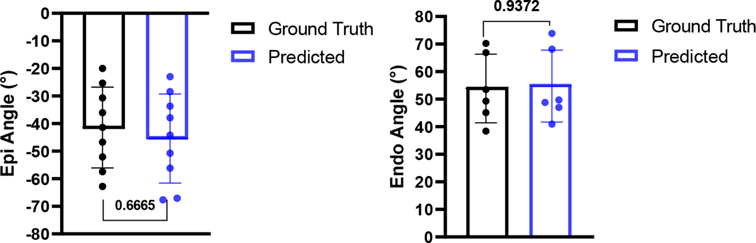 Fig. 5: