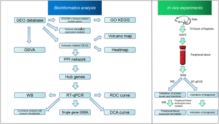 graphic file with name JIR-17-7195-g0001.jpg