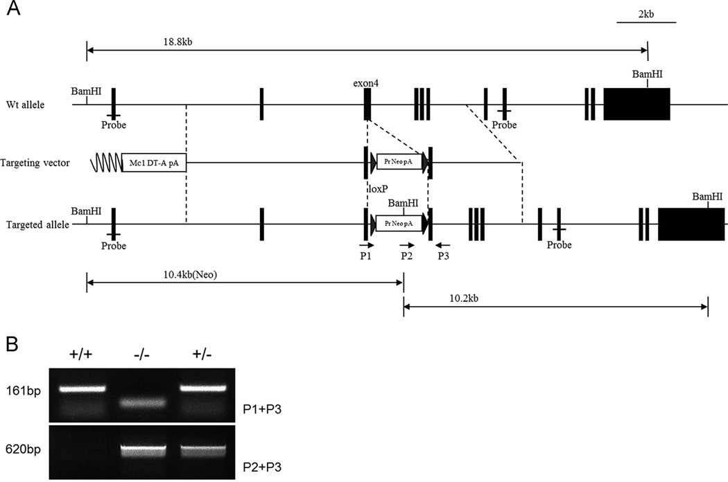 Fig 5