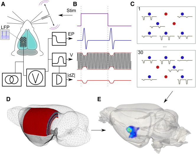 Fig. 1