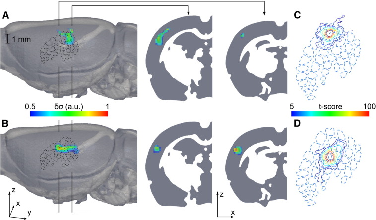 Fig. 3