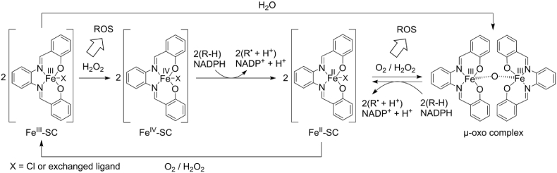 Fig. 6