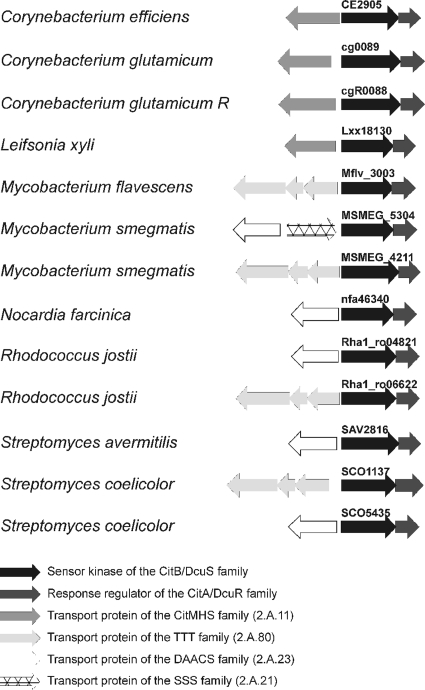 FIG. 9.