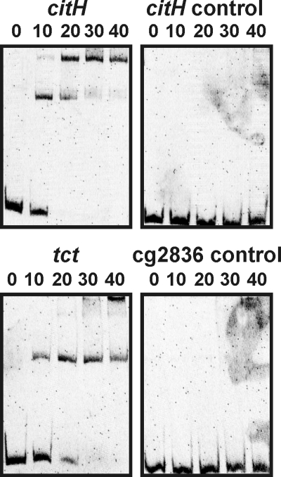 FIG. 8.