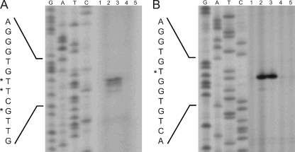 FIG. 7.