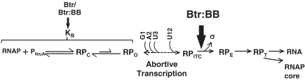 Figure 7.