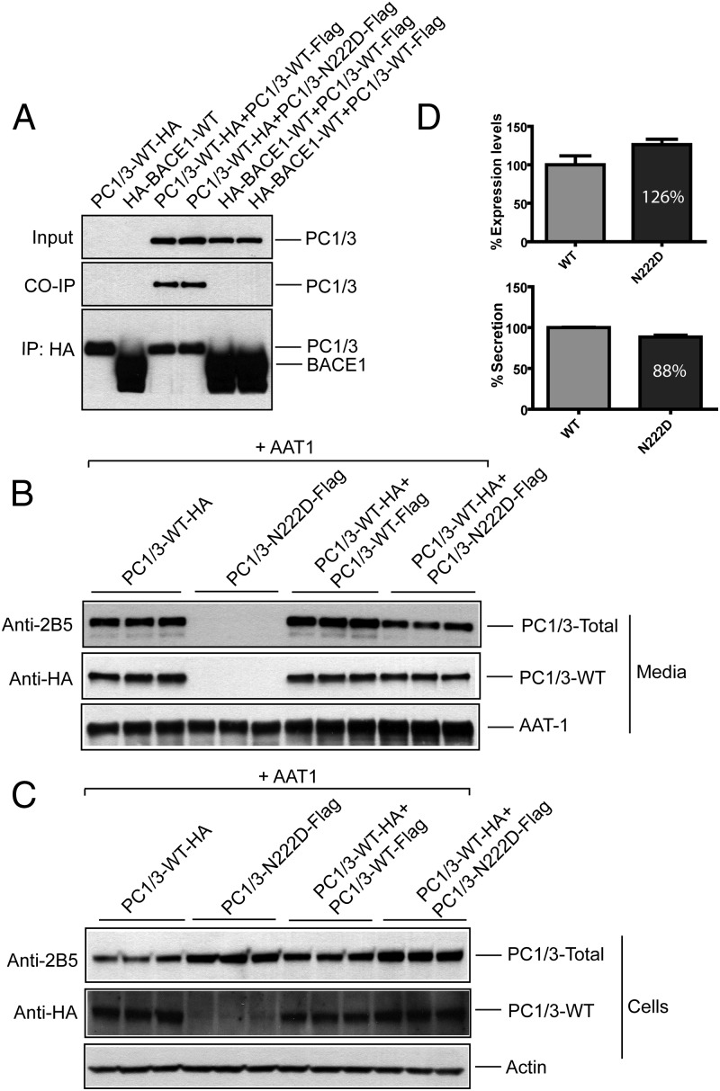 Figure 3.