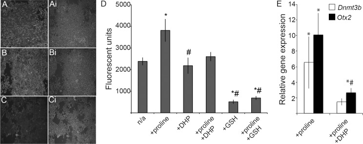 Fig 5