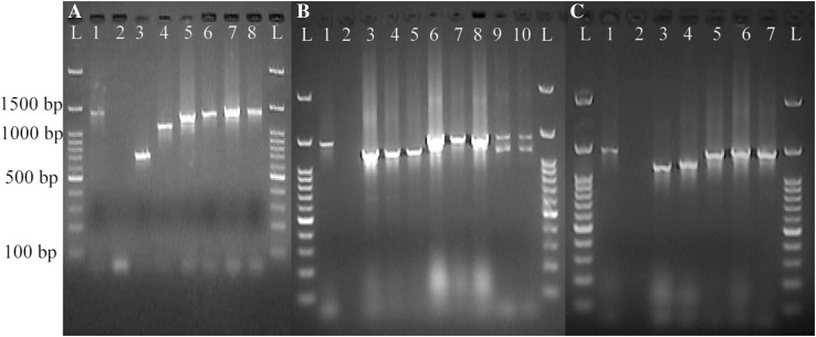 Fig. 1