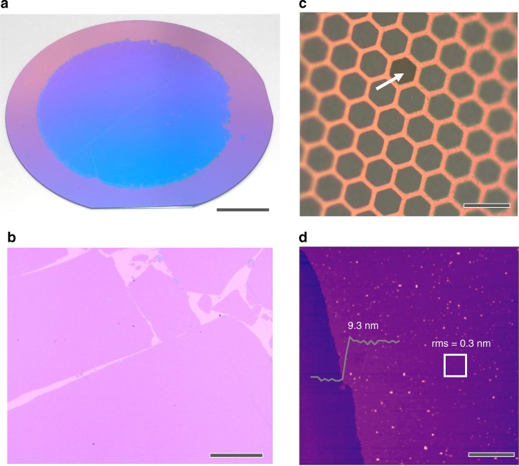 Fig. 2