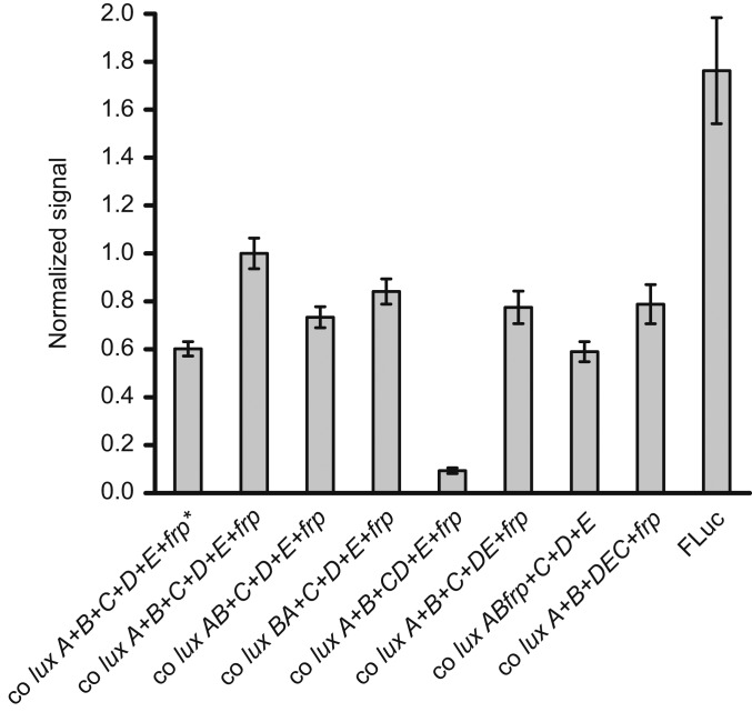 Fig. 2.