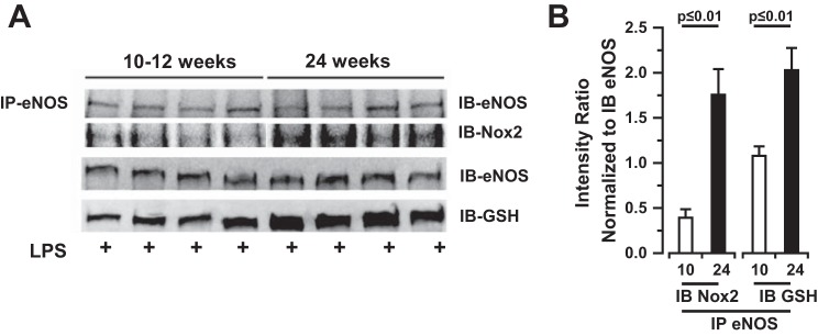 Fig. 9.