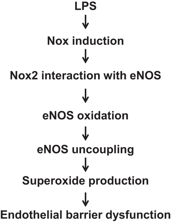 Fig. 10.