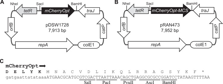 FIG 1