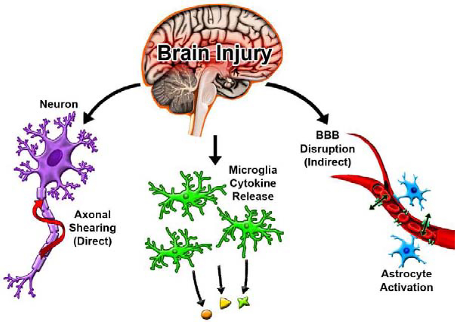 Figure 2: