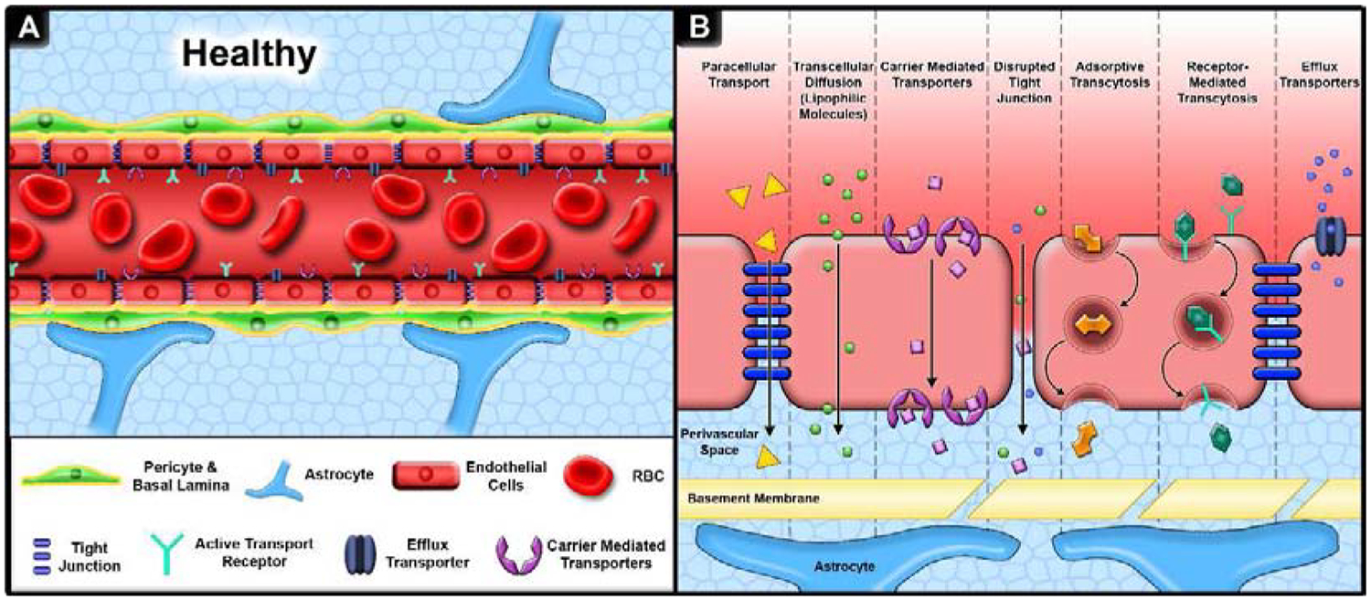 Figure 1: