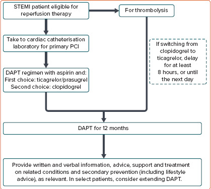 Figure 1: