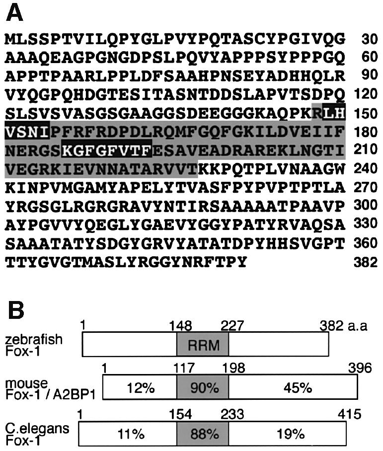 graphic file with name cdg089f1.jpg