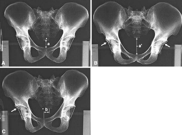 Fig. 8