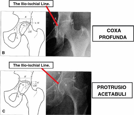 Fig. 4