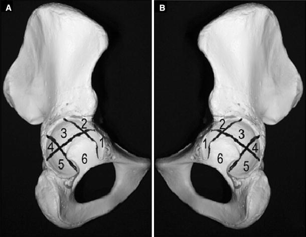 Fig. 12