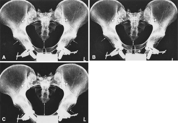 Fig. 7