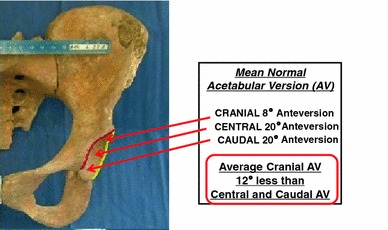 Fig. 11