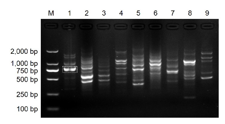 Figure 2