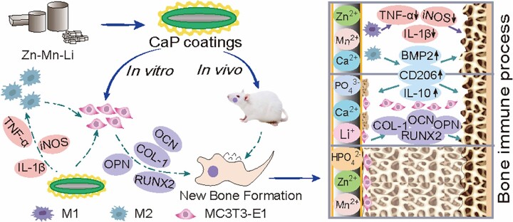 Figure 15.