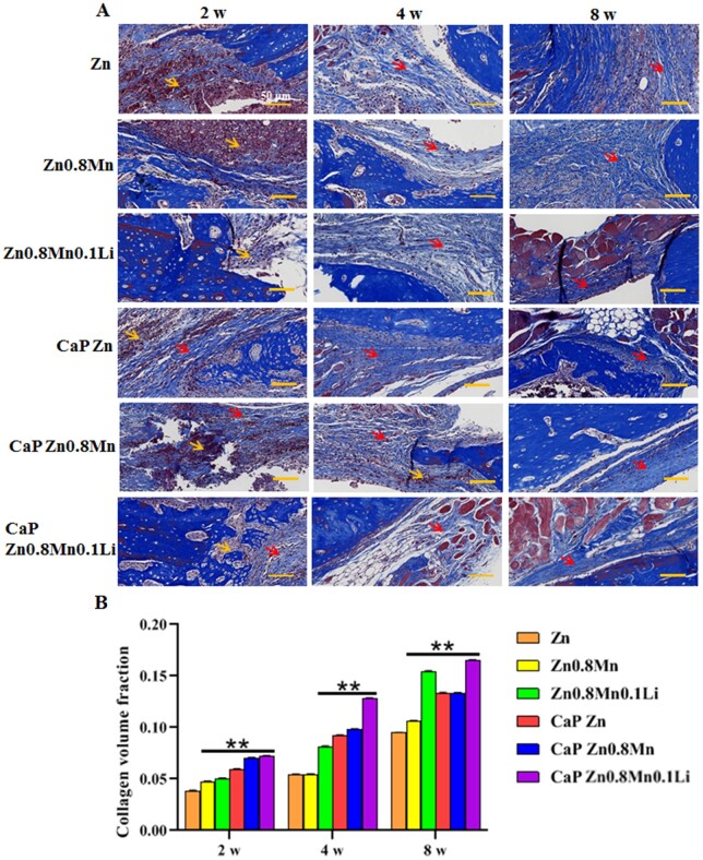 Figure 12.