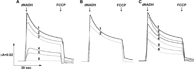 FIGURE 5.