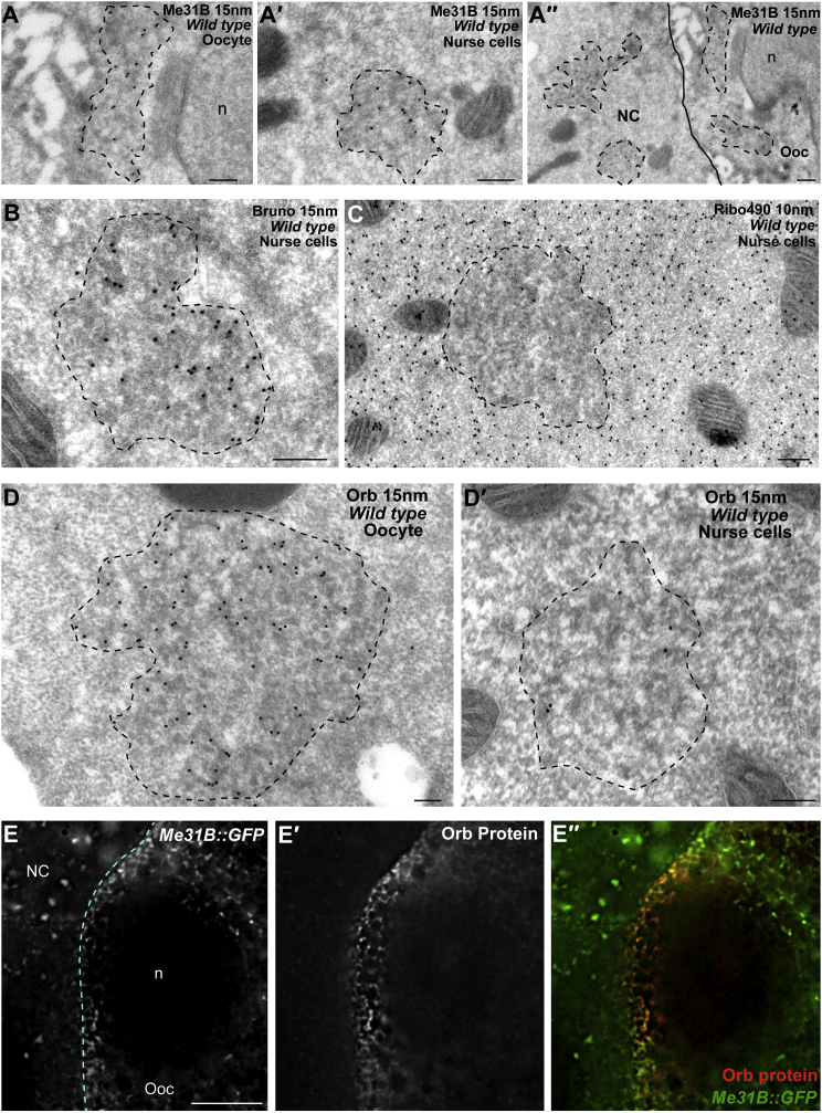 Figure 3