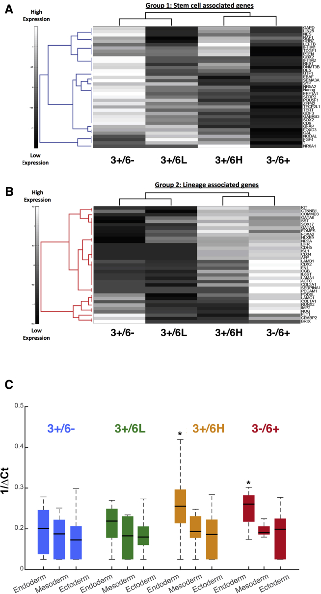 Figure 2