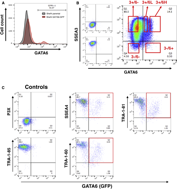 Figure 1