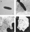 FIG. 8.