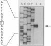 FIG. 6.