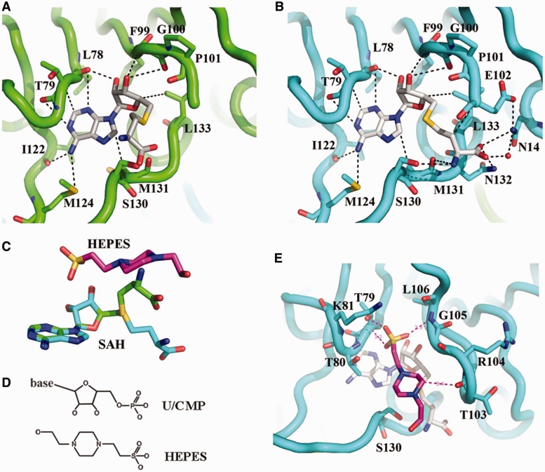 Figure 4.