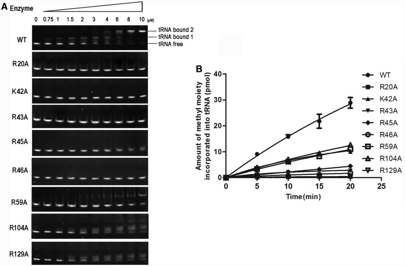 Figure 6.