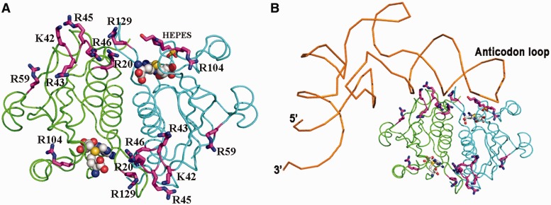 Figure 7.